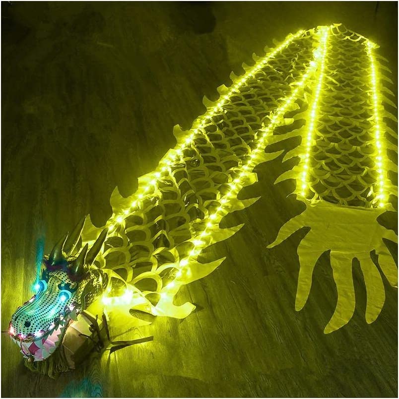 Amazon.com: Roedax Dragon Dance Lion Dance Head Chinese Dragon